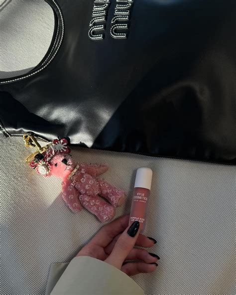 Kylie Jenner purse